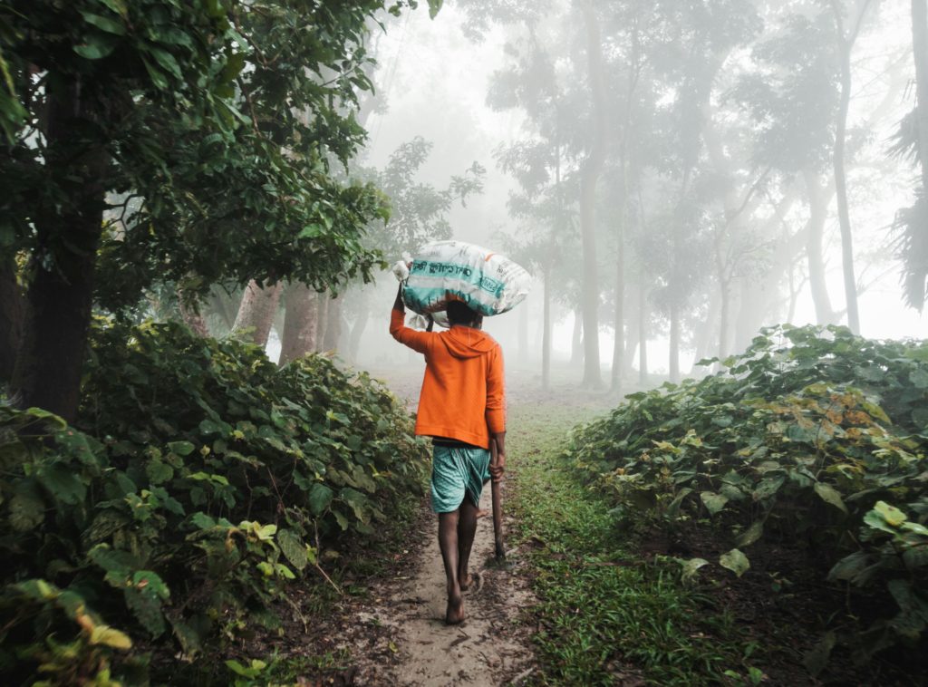 A man walks through a misty forest in Bangladesh, carrying a bag on his head, surrounded by lush greenery.