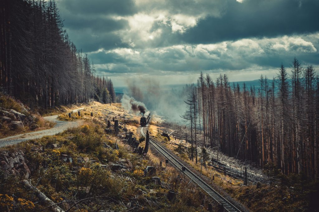 Steam train travels through misty Harz forest, offering a scenic journey amidst dark clouds.